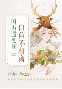 属龙和属龙工作相克吗